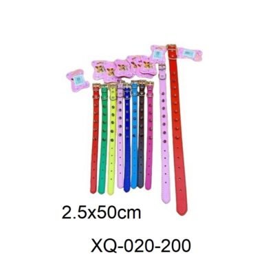 COLLAR C/TACHAS 2.5CM XQ-020-200
